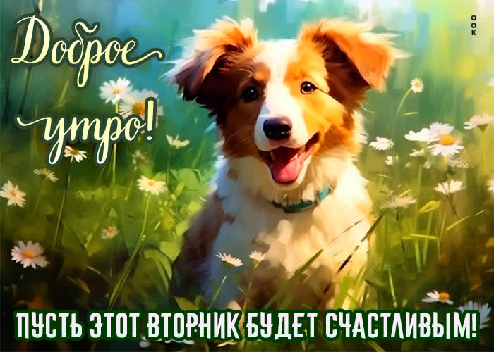 Picture открытка доброе утро! пусть этот вторник будет счастливым!