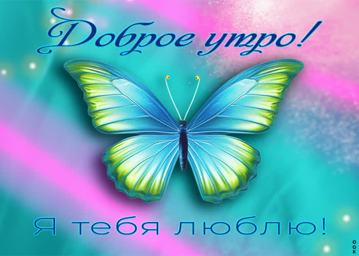 Postcard открытка доброе утро, я тебя люблю  с бабочкой