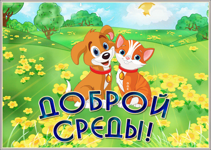Картинка открытка доброй среды