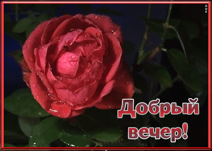 Открытка открытка добрый вечер и прекрасного настроения