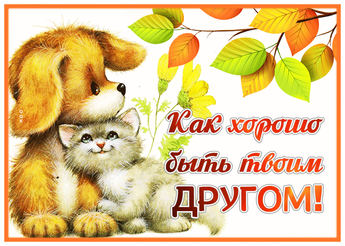 Postcard открытка как хорошо быть твоим другом