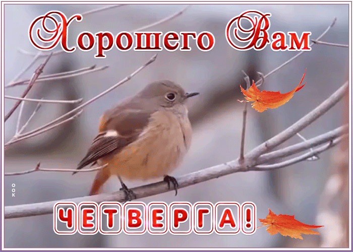Картинка открытка хорошего четверга