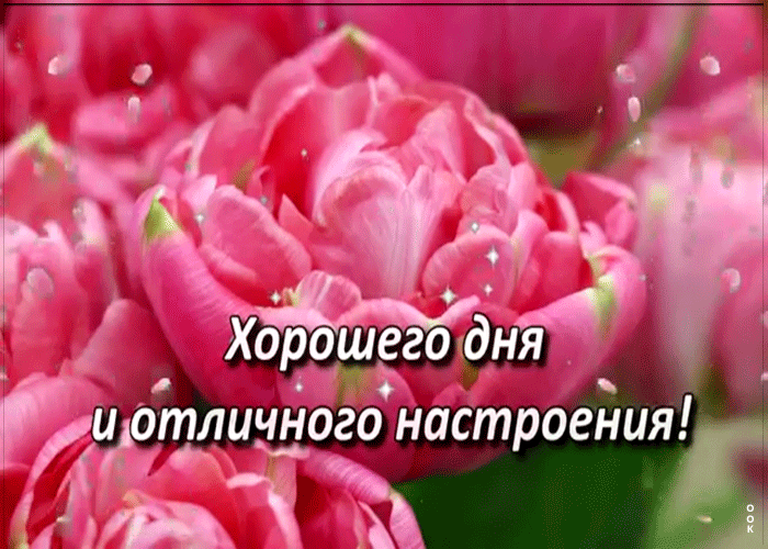 Картинка открытка хорошего дня и настроения