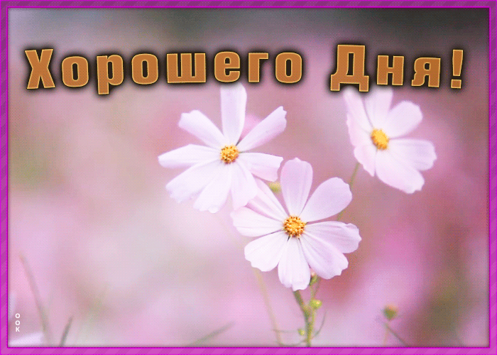 Открытка открытка хорошего дня и отличного настроения