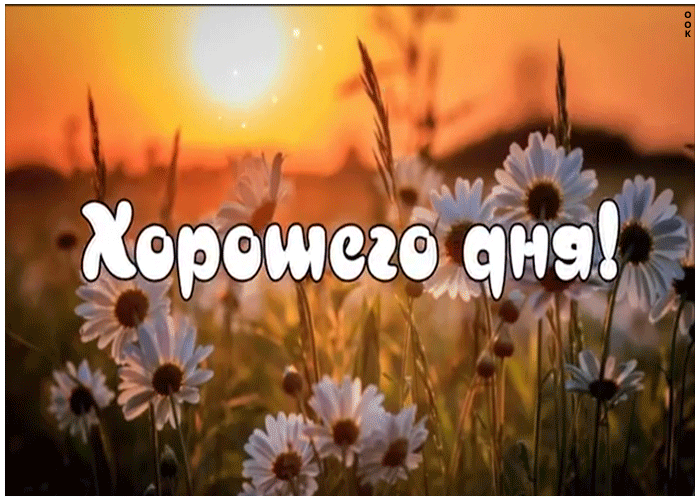 Картинка открытка хорошего дня с ромашками