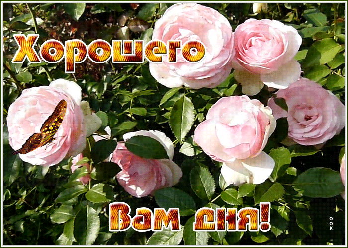 Открытка открытка хорошего дня с розами