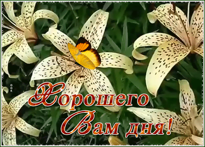 Открытка открытка хорошего дня с цветами