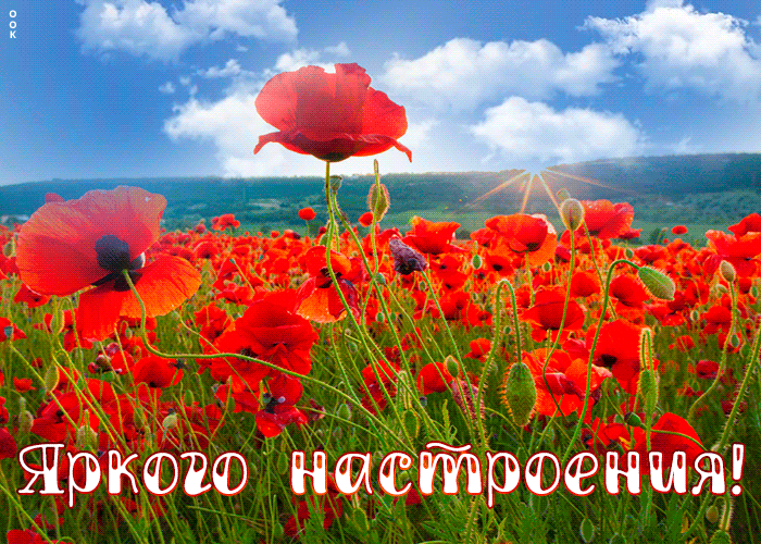 Открытка открытка хорошего настроения на всю неделю