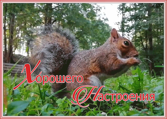 Открытка открытка хорошего настроения с природой