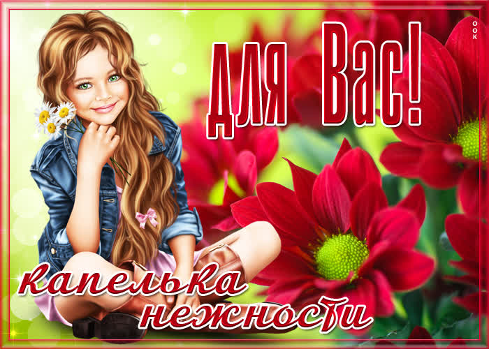 Картинка открытка хризантемы для вас