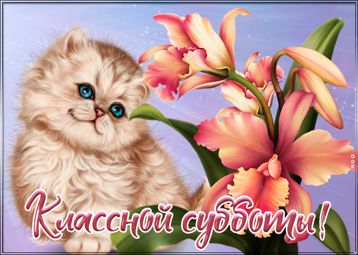 Открытка открытка классной субботы