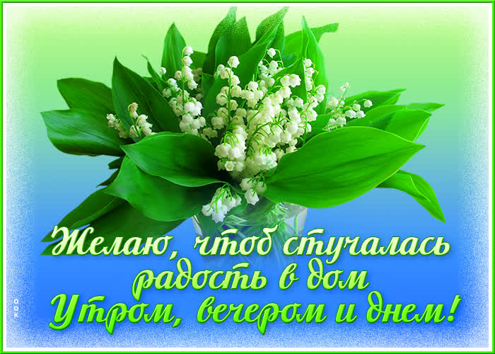 Картинка открытка красивый букет ландышей