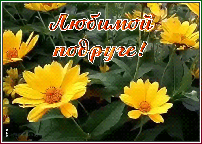 Картинка открытка любимой подруге