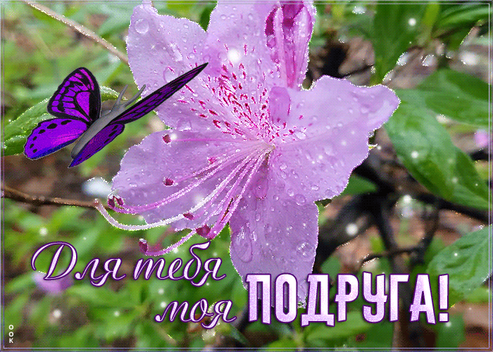 Картинка открытка любимой подружке