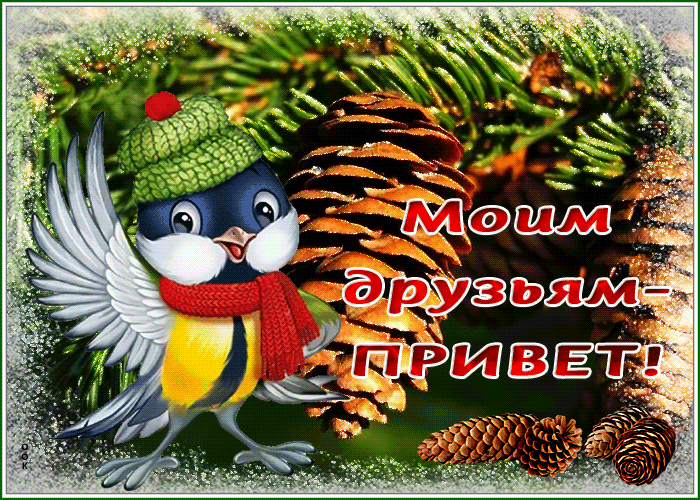 Picture открытка моим друзьям привет с веселой птичкой