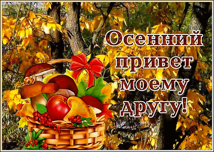 Postcard открытка осенний привет моему другу