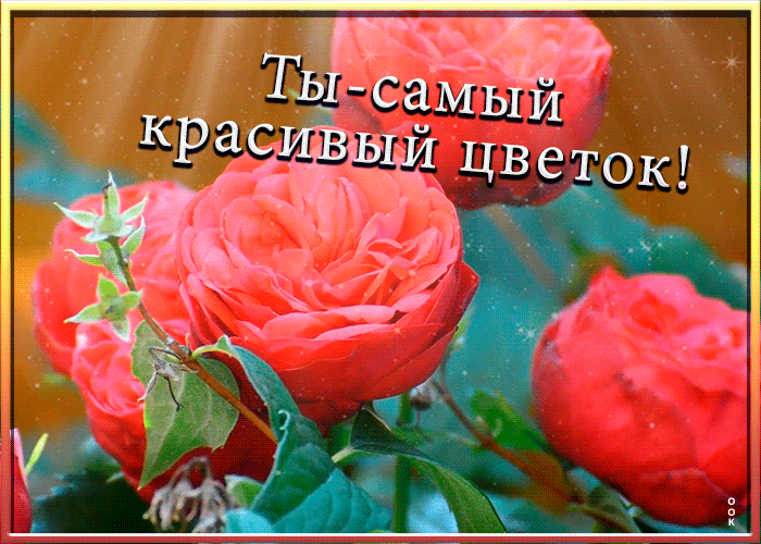 Картинка открытка подруге с надписью