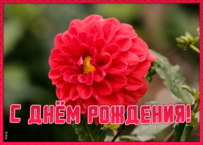 Картинка открытка поздравление с днем рождения подруге
