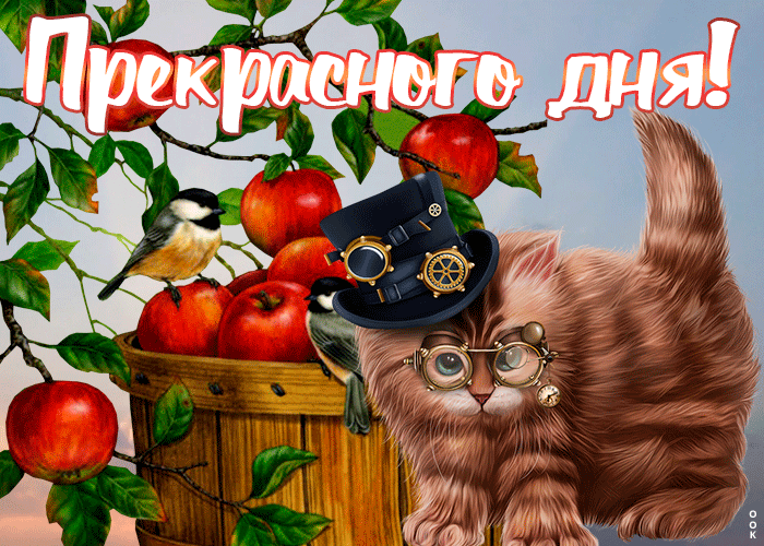 Открытка открытка прекрасного дня