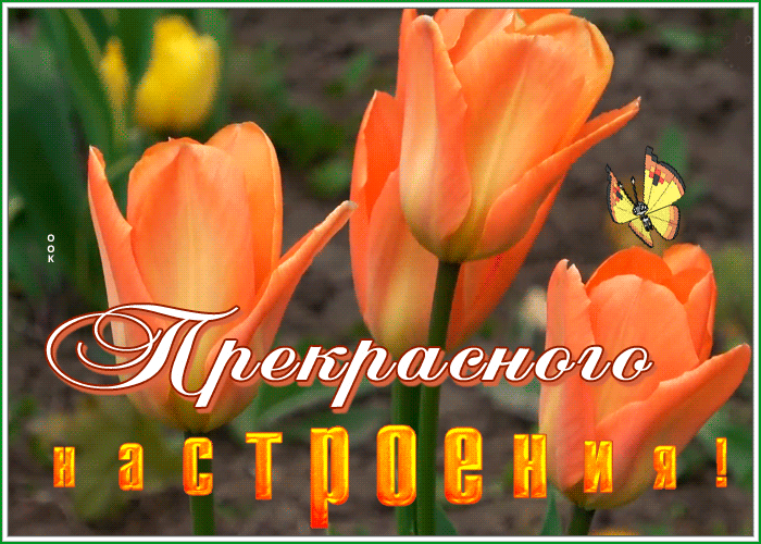 Картинка открытка прекрасного настроения