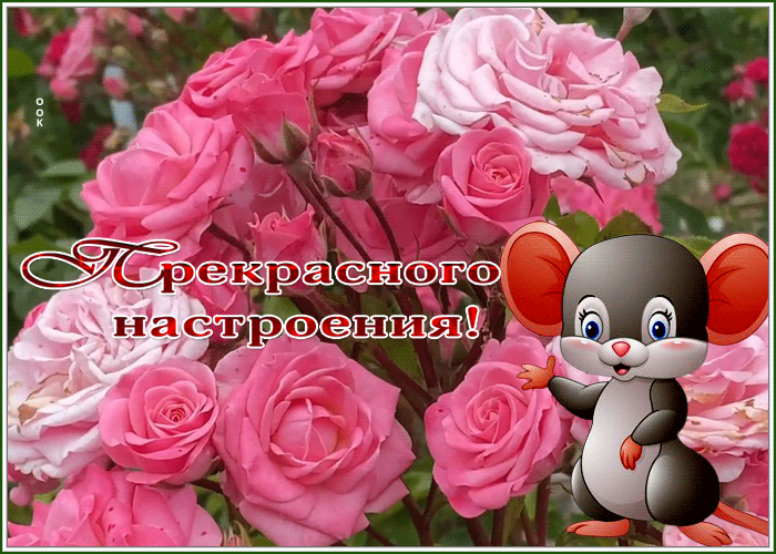 Picture открытка прекрасного настроения с розами и мышкой