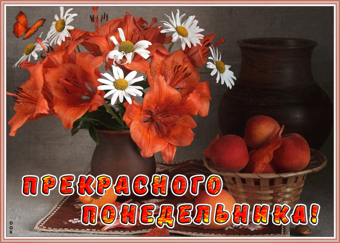 Картинка открытка прекрасного понедельника