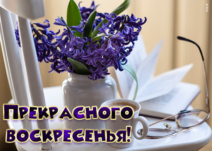 Postcard открытка прекрасного воскресенья с кофе и гиацинтами