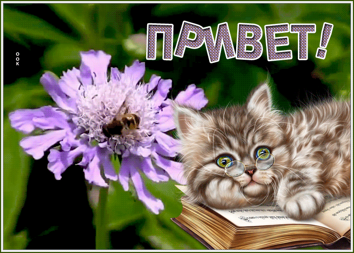 Картинка открытка привет для друзей