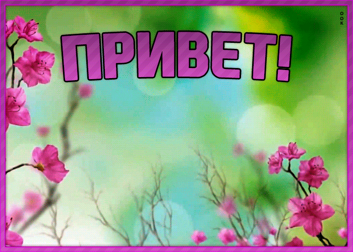 Картинка открытка привет подружка