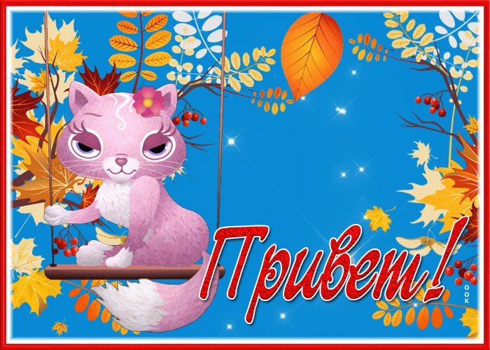 Postcard открытка привет с милой кошечкой