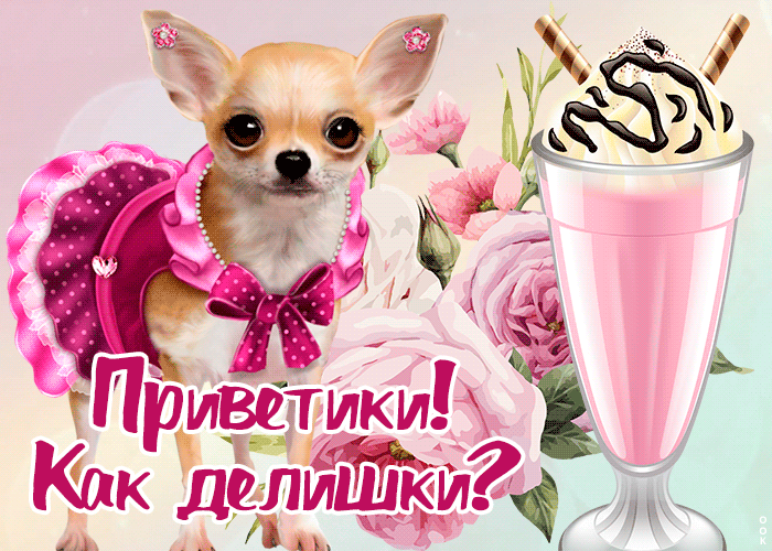 Открытка открытка привет с песиком
