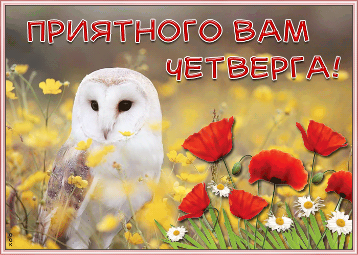 Картинка открытка приятного четверга