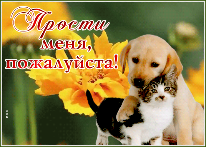 Открытка открытка прости меня пожалуйста