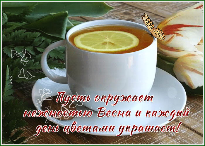 Picture открытка пусть окружает нежностью весна и каждый день цветами украшает