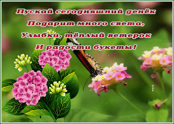 Postcard открытка пусть сегодняшний денек подарит много света