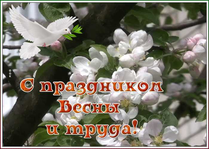 Картинка открытка с 1 мая с природой