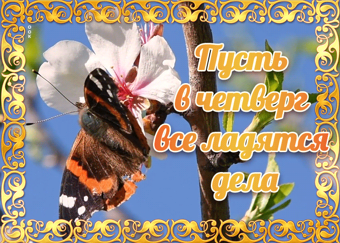 Картинка открытка с четвергом с надписью
