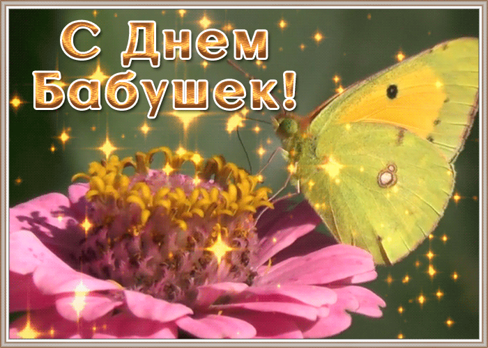 Открытка открытка с днем бабушек с бабочкой