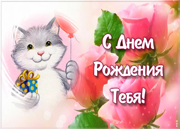 Открытка открытка с днем рождения девочке с котиком