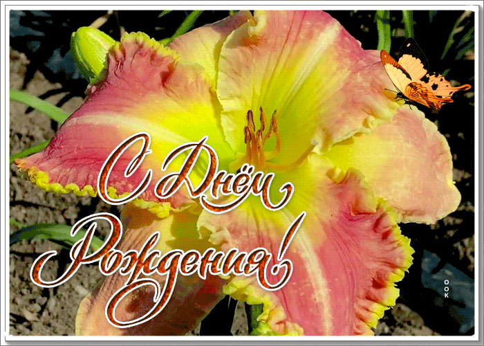 Открытка открытка с днём рождения красотка