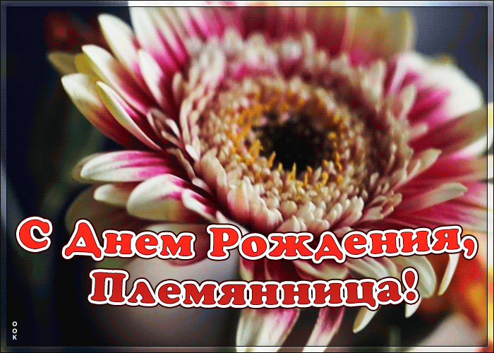 Картинка открытка с днем рождения племяннице с цветами