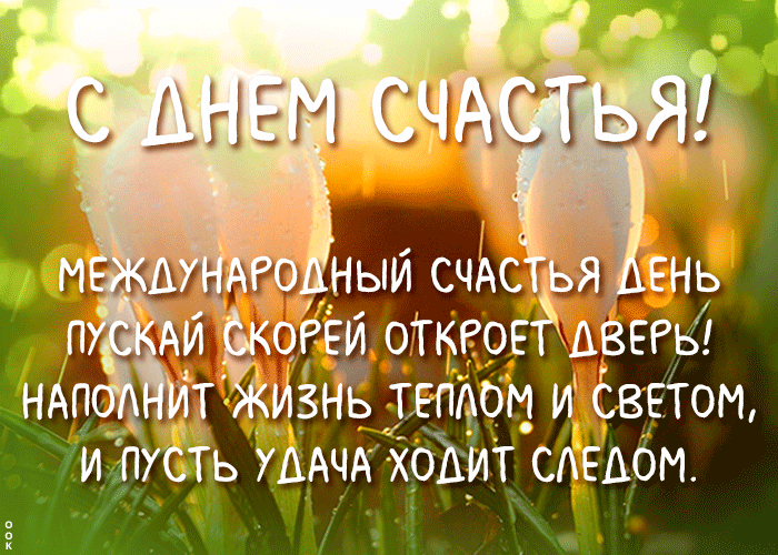 Открытка открытка с днем счастья с пожеланиями