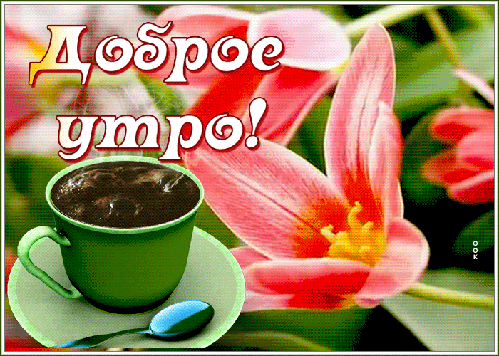 Картинка открытка с добрым утром девушке