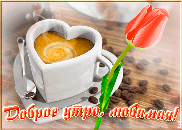 Открытка открытка с добрым утром любимой женщине