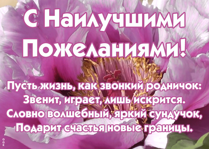 Картинка открытка с красивым пожеланием