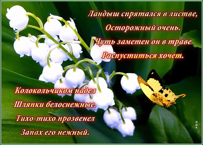 Открытка открытка с ландышами со стихами