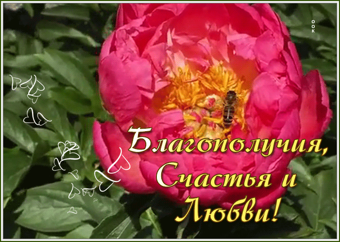 Открытка открытка с необычным пожеланием
