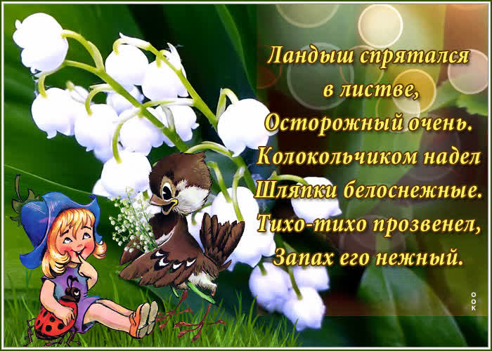 Картинка открытка с необычными цветами