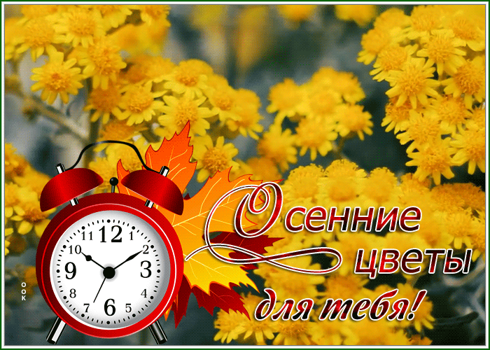 Postcard открытка с осенними цветами для тебя