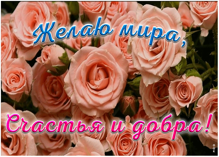Открытка открытка с отличными пожеланиями